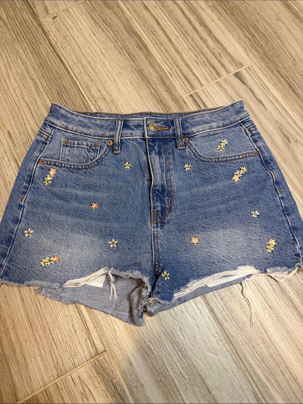 American Eagle Outfitters Light Blue Denim Embroidered Floral Jean Shorts